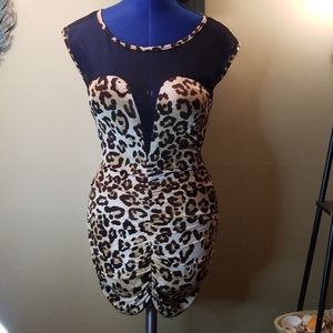 Cameo Leopard Print and Mesh Mini Dress